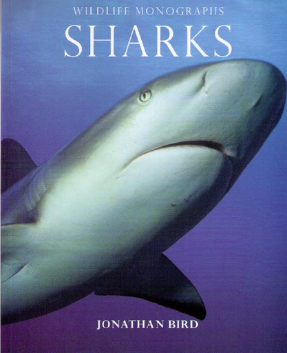 [CA - Kirjat] Sharks